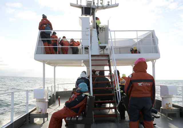 Whalewatching mit dem Ausflugsboot